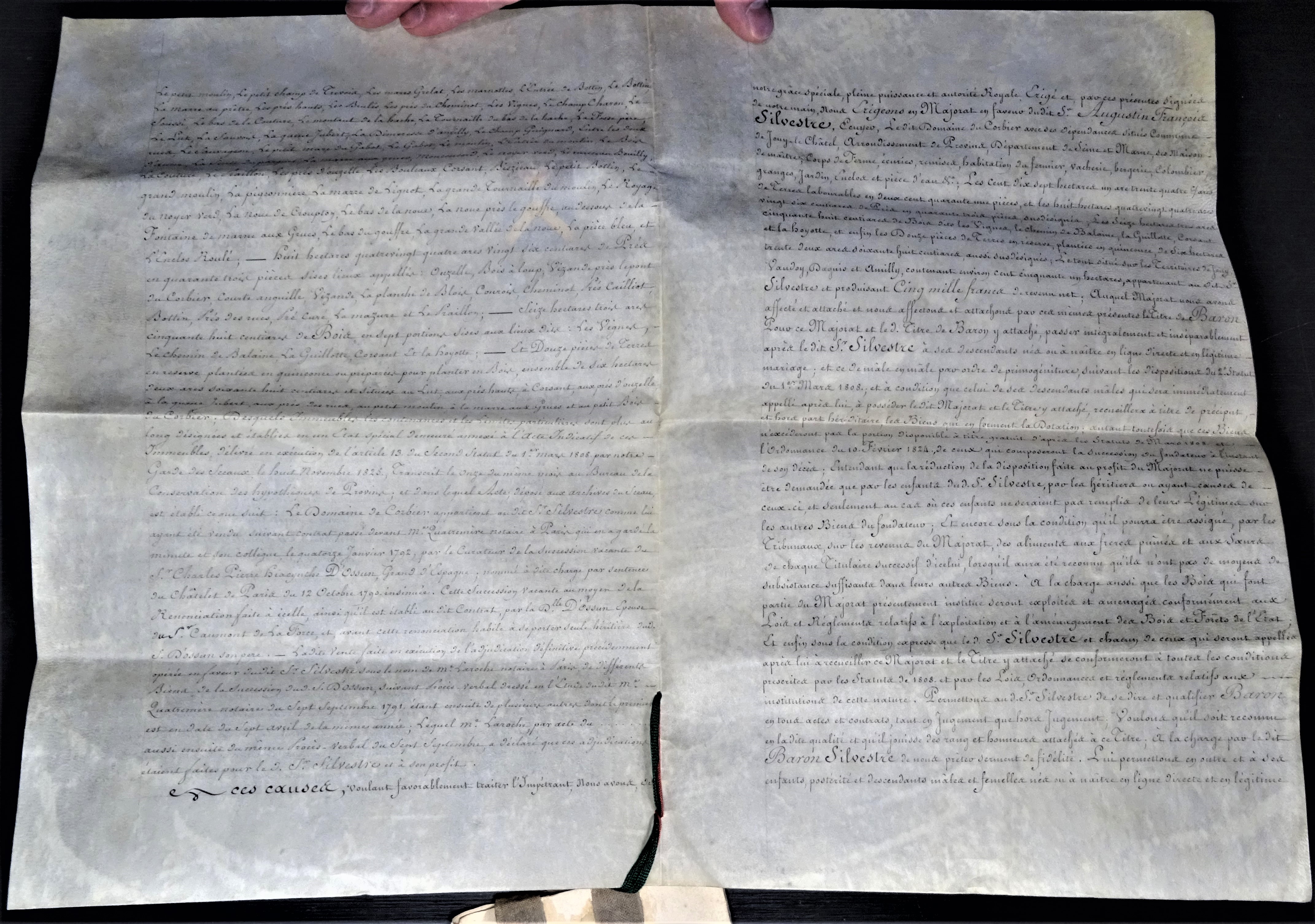  Titre de Baron décerné à Augustin-François de Silvestre et majorat du Corbier - Pages 2-3